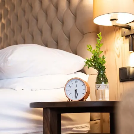 酒店 冬季农民酒店 4*